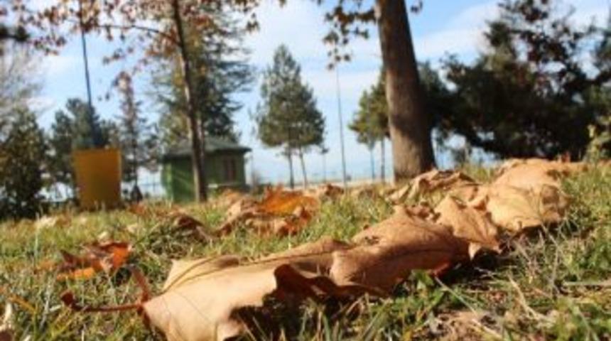 Yaprak Dökümü Mesaisi