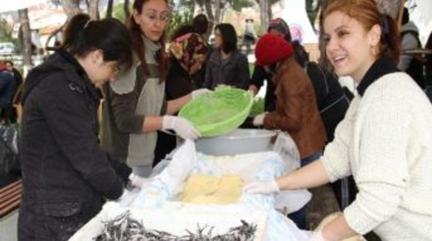 Muğla&rsquo;da &lsquo;tavada Hamsi&rsquo; Şenliği