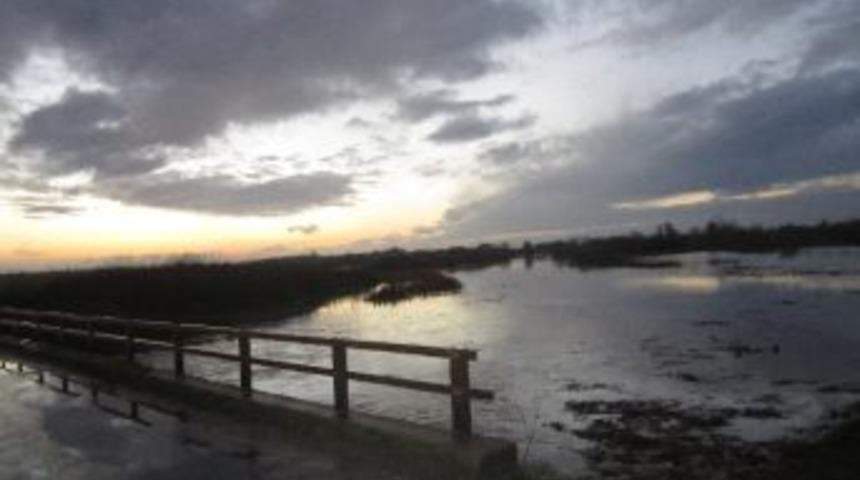 L&uuml;leburgaz'da Sağanak Nedeniyle Tarım Arazileri Su Altında Kaldı, Ergene Nehri'nin Su Seviyesi Y&uuml;kseldi