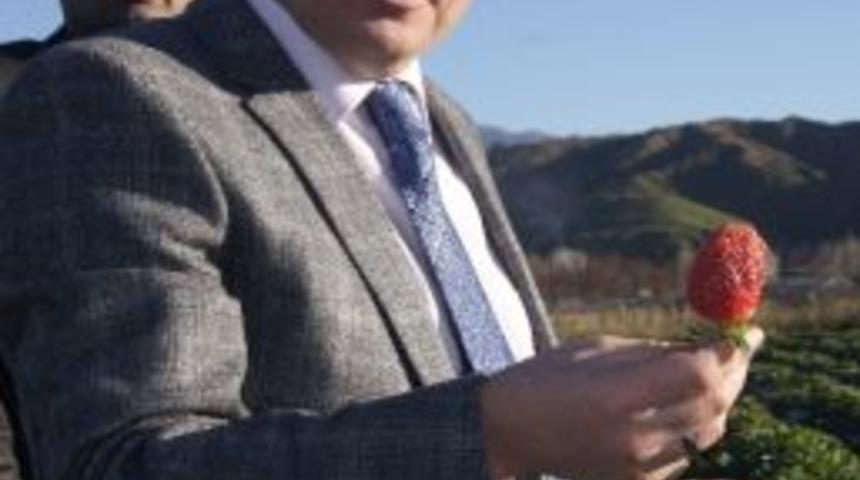 Kaymakam K&ouml;ken&rsquo;den Kenevir Ekenlere &Ccedil;ağrı