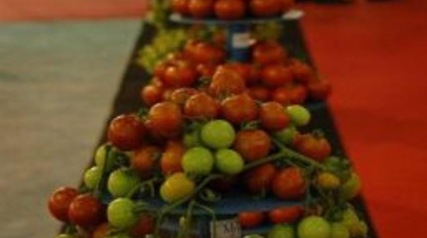 Growtech Eurasıa Tarım Fuarı Başlıyor