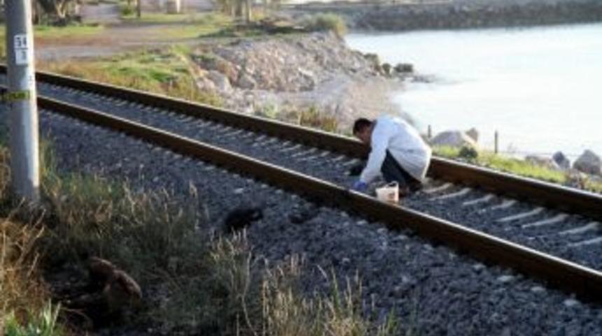 Balık Sevdası &Ouml;l&uuml;m&uuml; Oldu