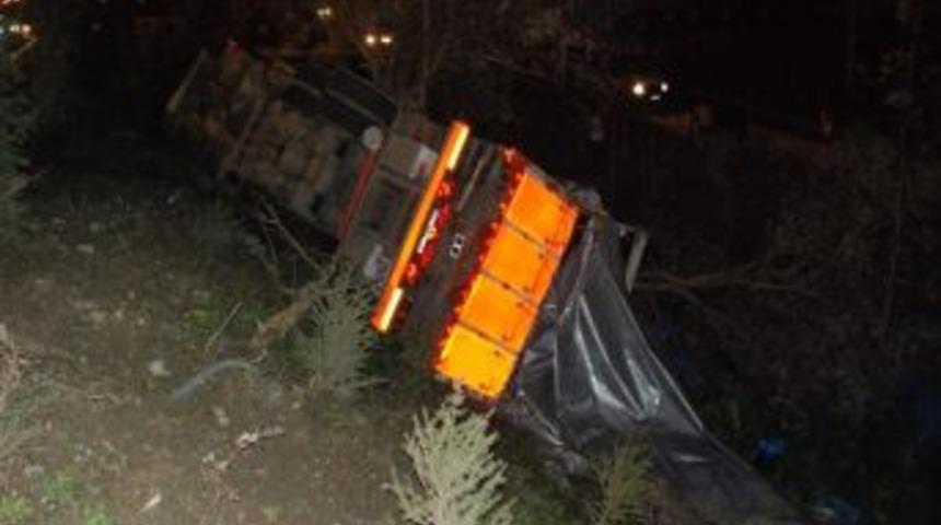 Ispanak Y&uuml;kl&uuml; Tır Şarampole Yuvarlandı