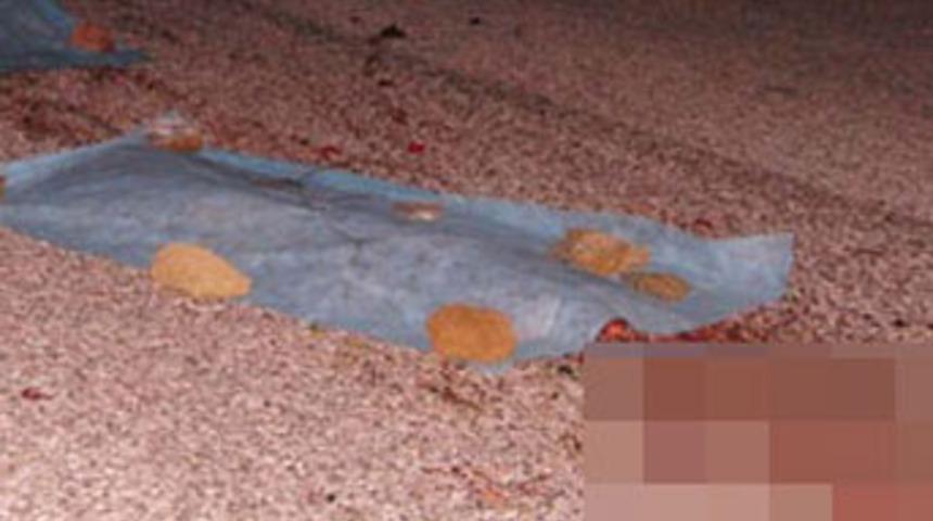 Yolda par&ccedil;alanmış bir kadın cesedi bulundu