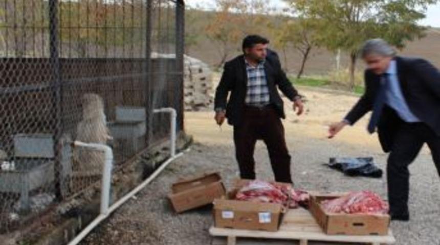 Yakalanan Ka&ccedil;ak Etler İmha Edildi