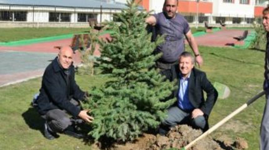 Yakutiye Belediyesi 5 Bin Ağa&ccedil; Dikiyor