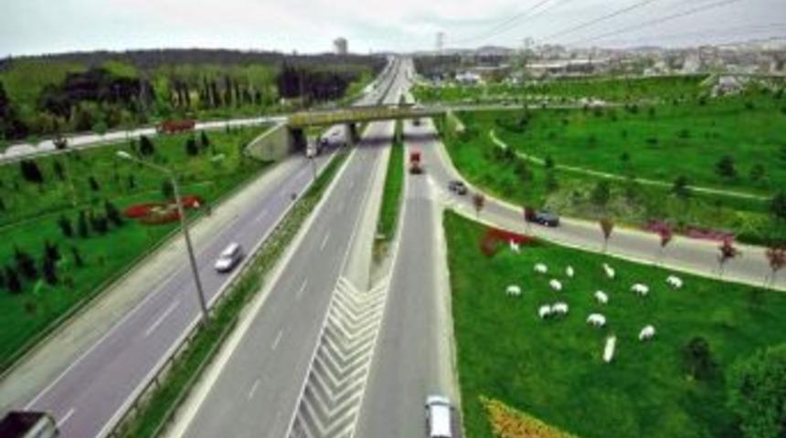 Kocaeli 'yeşil' İle Anılıyor