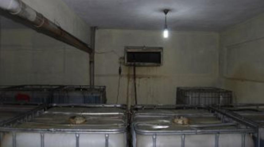 Kahramanmaraş&rsquo;ta Ka&ccedil;ak Akaryakıt Operasyonu