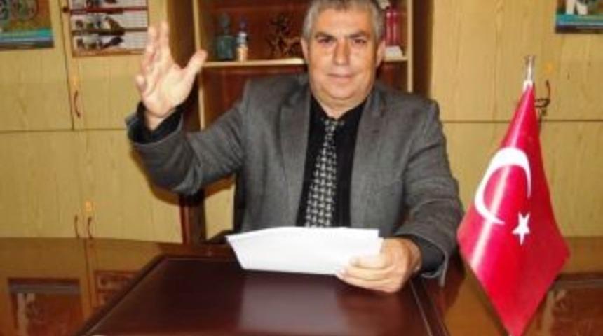 Engelliler G&uuml;n&uuml;nde Engelli Tepkisi