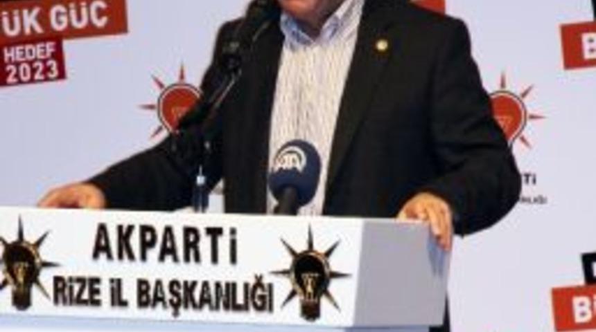 Rize Ve Artvin İ&ccedil;in Deniz U&ccedil;akları G&uuml;ndemde