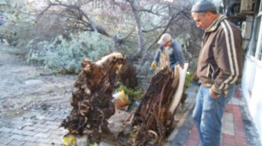 Gelibolu&rsquo;da Fırtına