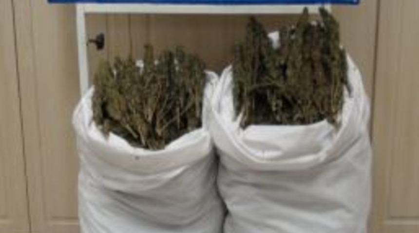 Gaziantep&rsquo;te Uyuşturucu Operasyonu