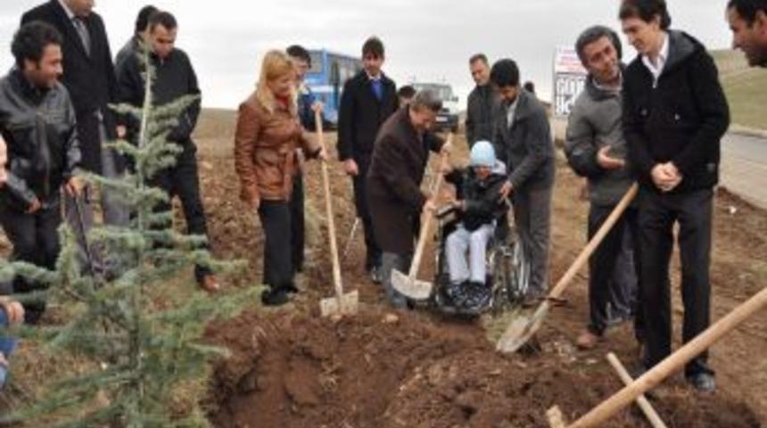 Engelliler, Yozgat&rsquo;ta 3 Bin Fidanı Toprakla Buluşturdu