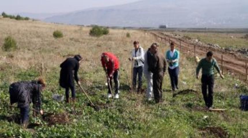 &Ouml;ğrencilerden &Ouml;ğretmenleri Adına Fidan