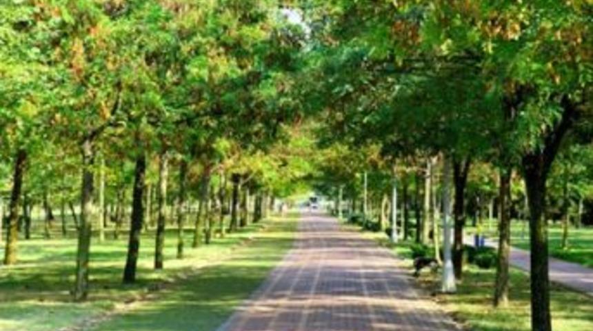 Kocaeli &lsquo;yeşil&rsquo;le anılan bir kent oldu