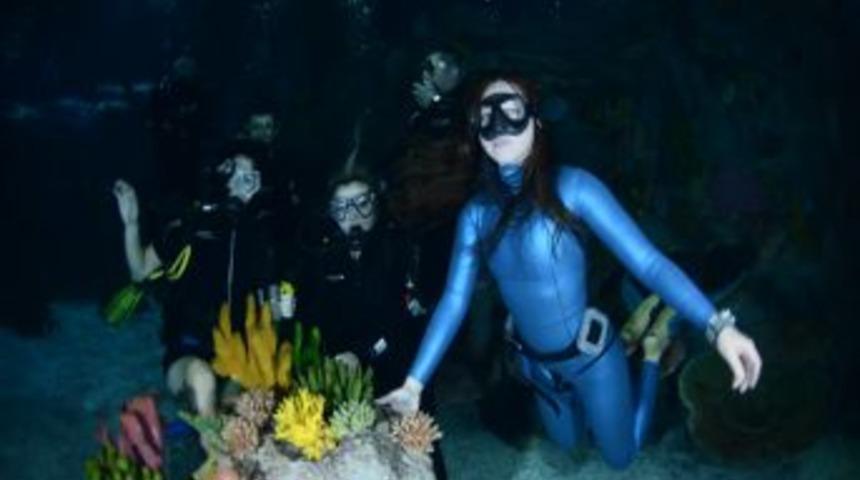 Engelli Sporcular, Turkuazoo&rsquo;da K&ouml;pekbalıkları Ile Dalış Yaptı