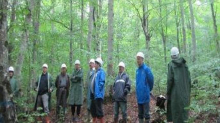 Kastamonu&rsquo;da 1500 Hektar Tabii Tensil Ger&ccedil;ekleşti