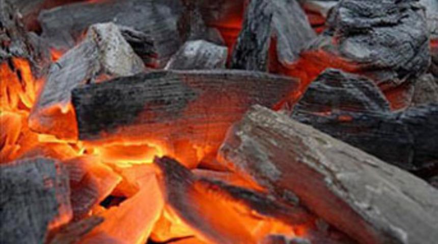 Mangal faciası; 2 &ouml;l&uuml;