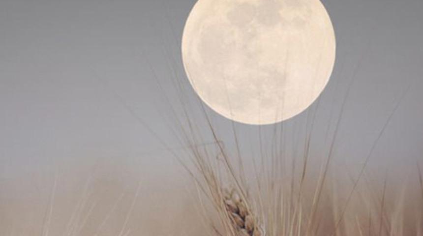  Dolunay Başak burcunda