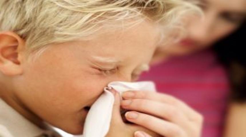 Gribi Hafife Almayın