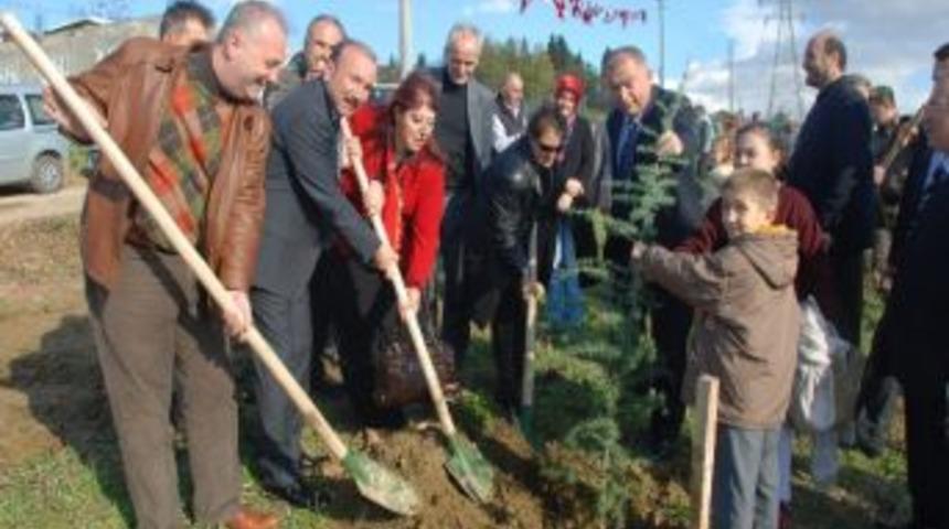 Engelsiz Bir Şehir İ&ccedil;in Ağa&ccedil; Diktiler