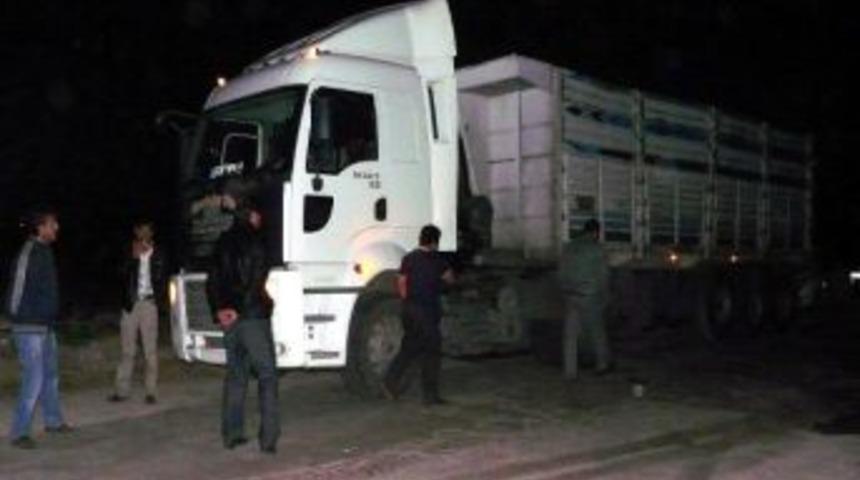 Adana'da K&ouml;m&uuml;r Dolandırıcılığı Operasyonu