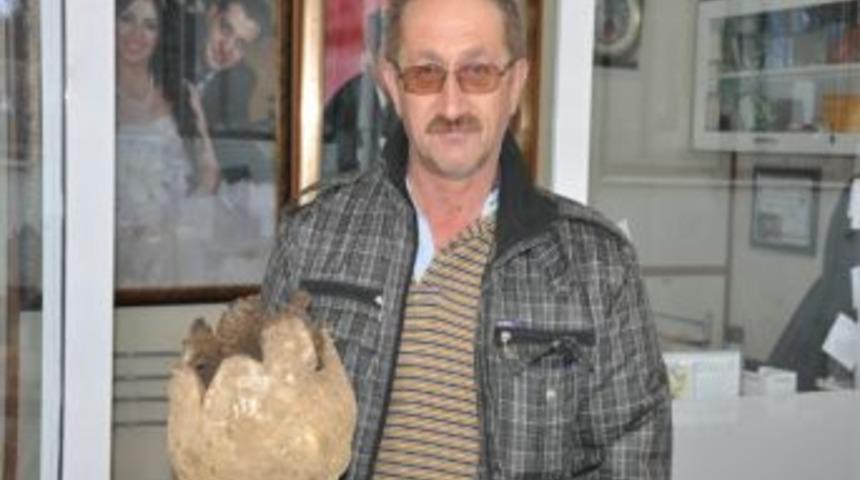 Kiloluk Mantar G&ouml;renleri Hayrete D&uuml;ş&uuml;rd&uuml;