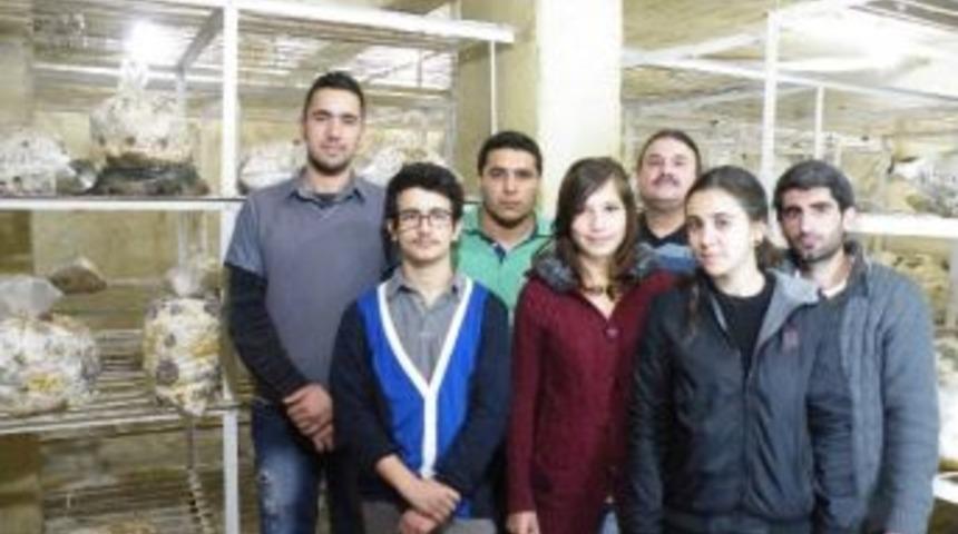 &Ouml;ğrenciler Kayın Mantarı Yetiştiriyor