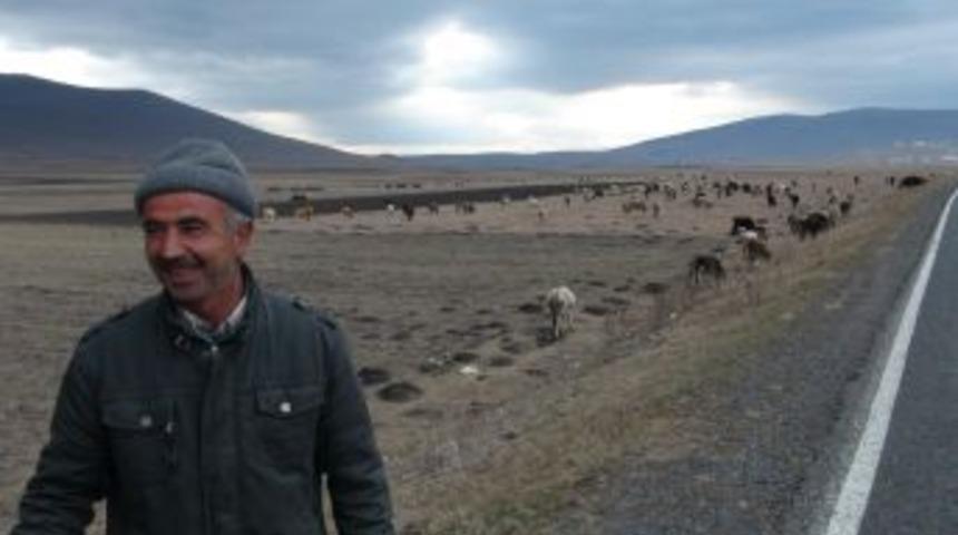 Ardahan'da Ge&ccedil; Gelen Kar, Besicileri Sevindirdi