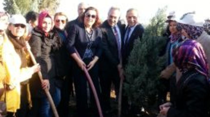 Ak Partili Kadınlardan İzmir&rsquo;e 154 Bin Fidan