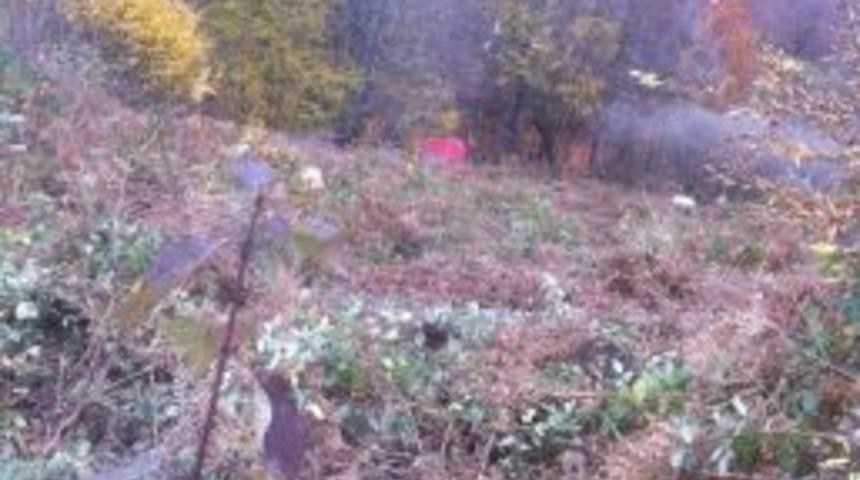 Kamyon U&ccedil;uruma Yuvarlandı: 1 &Ouml;l&uuml;