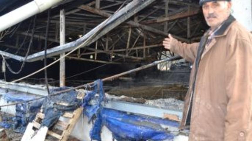 15 Bin Civciv Yanarak Telef Oldu