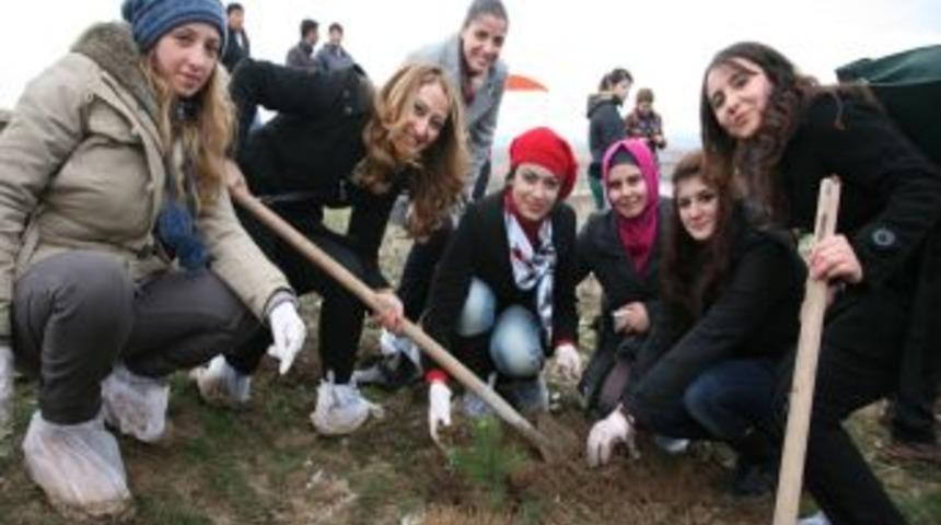 Üniversiteliler, Trafik Kazasında Ölen Arkadaşları Için Fidan Dikti