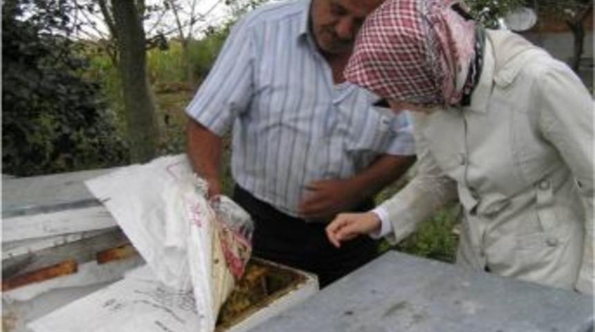 Sakaryalı Arıcılara Kkydp Kapsamında Makine-ekipmanları Dağıtıldı