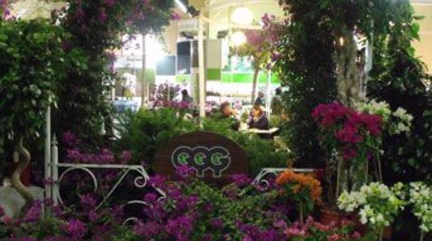 S&uuml;s Bitkileri sekt&ouml;r&uuml; iki kat b&uuml;y&uuml;d&uuml;