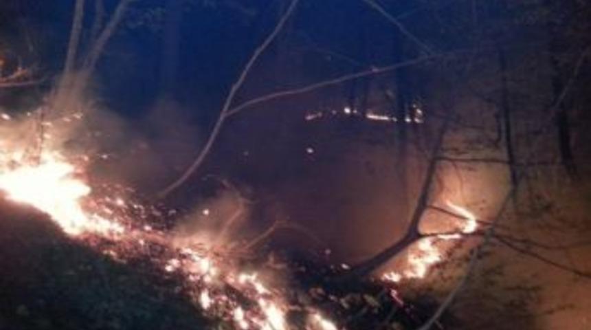 Artvin&rsquo;de &Ouml;rt&uuml; Yangını
