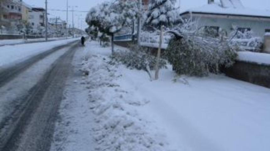 Kar Yağdı, Eğlence Başladı