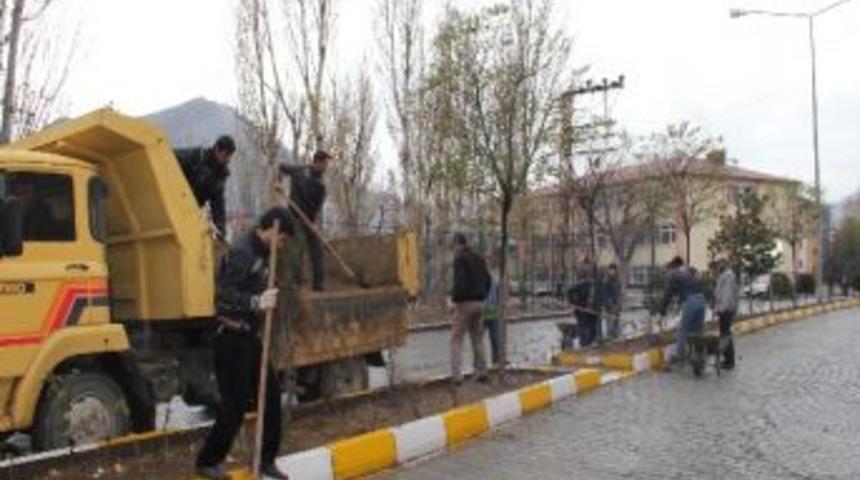 Oltu&rsquo;da Ağa&ccedil; Ve &Ccedil;i&ccedil;eklere Kış Bakımı