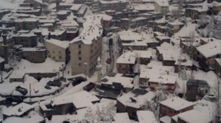 Bitlis&rsquo;te Kar Kalınlığı 20 Santimi Buldu