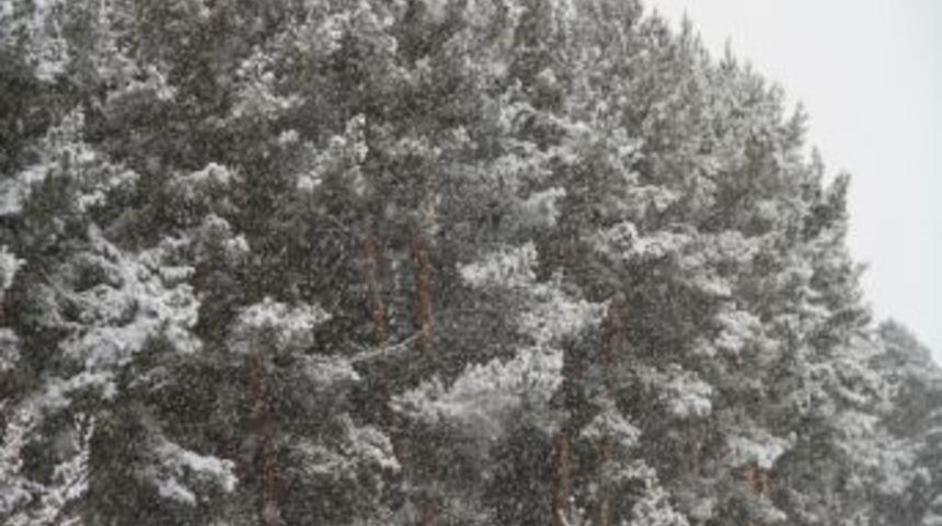 Ardahan'da Kar Yağışı