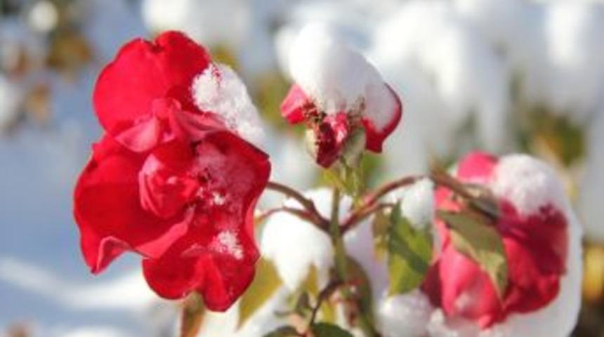 Nevşehir'de Kar G&uuml;llere Ayrı Bir G&uuml;zellik Kattı