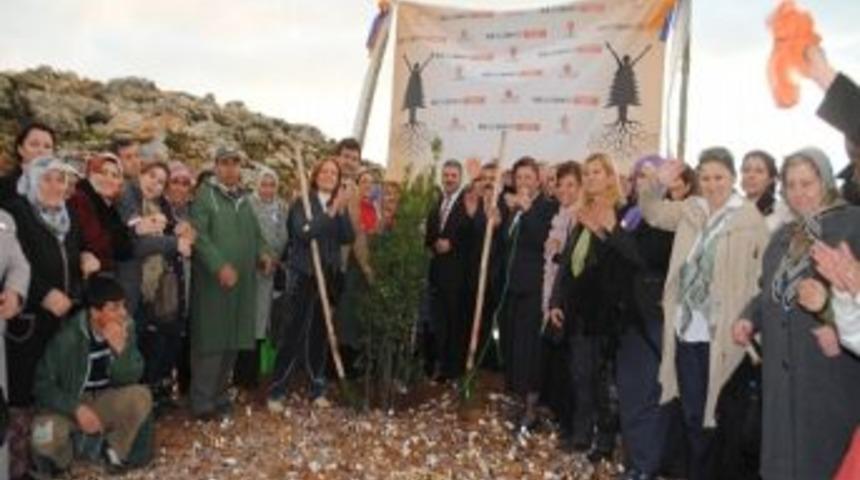 Mersin&rsquo;deki Ak Kadınlar Ormanı&rsquo;nı Canlı Yayınla Başbakan A&ccedil;tı