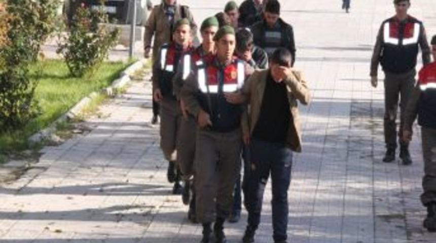 Jandarma'dan G&uuml;vercin Hırsızlarına Operasyon