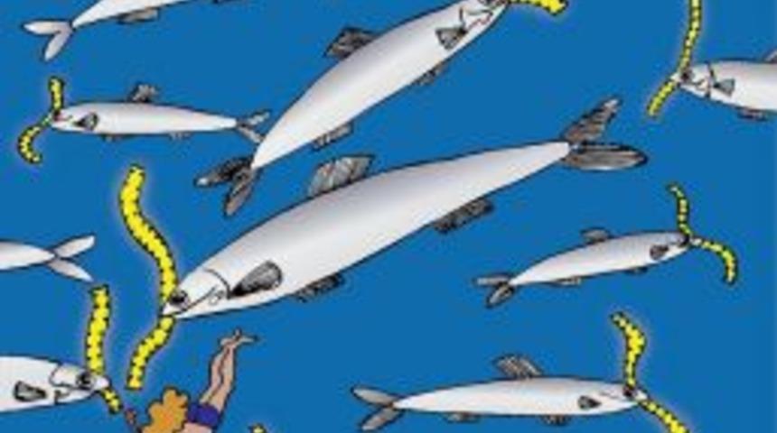 18. Gezici Festival, 7 Aralık'ta Sinop&rsquo;ta Başlıyor