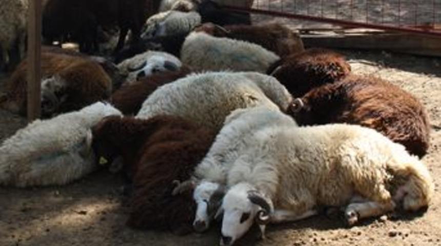 Manavgatta bazı mahalleler karantinaya alındı