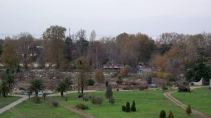 Merosa, Eski Arboretum Arazisinde Geri Adım Attı