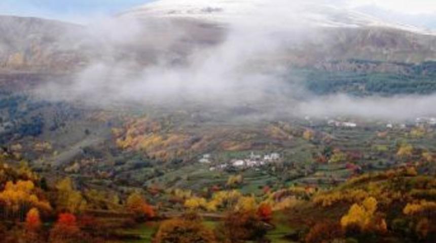 Posof&rsquo;ta Korkutan Yangın