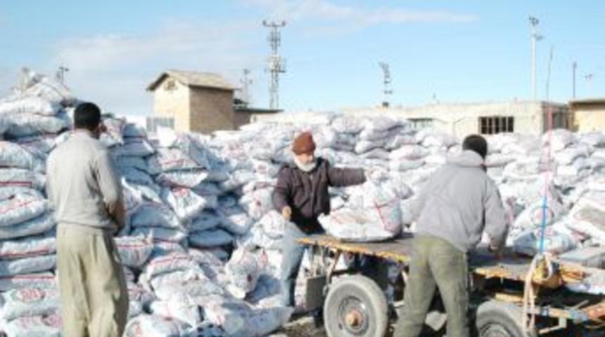 Tarsus&rsquo;ta Ihtiya&ccedil; Sahiplerine Dağıtılan K&ouml;m&uuml;r Temiz &Ccedil;ıktı