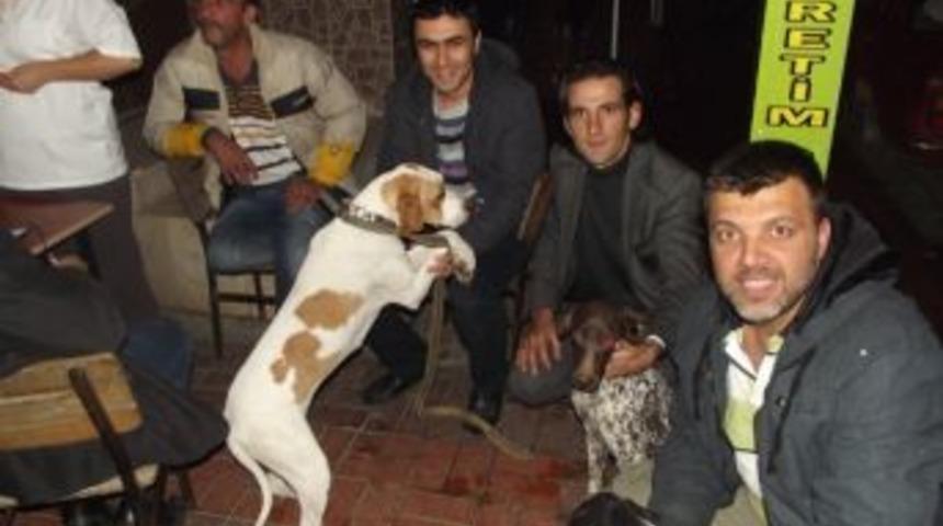 Edremit&rsquo;te Av K&ouml;pekleri Aşılandı