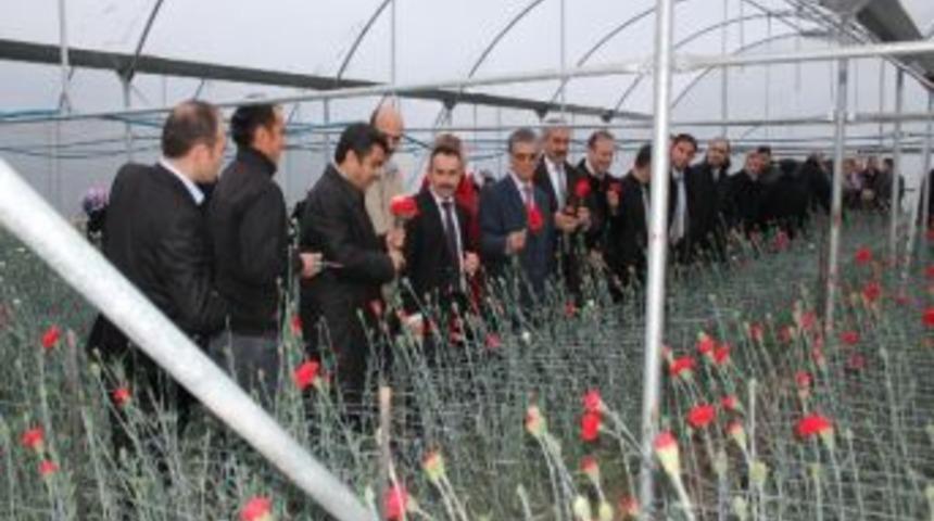 Ordu&rsquo;da &lsquo;karanfil Yetiştiriciliği Tarla G&uuml;n&uuml;&rsquo;